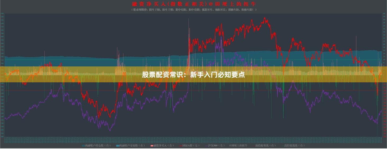 股票配资常识：新手入门必知要点