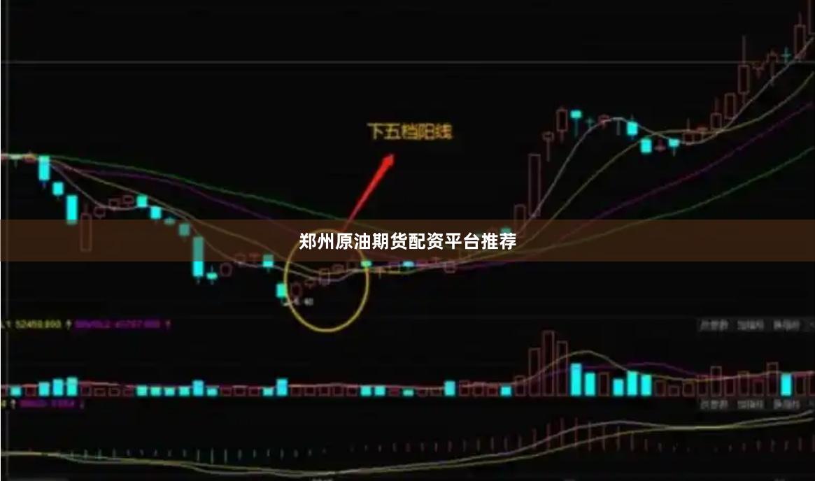 郑州原油期货配资平台推荐